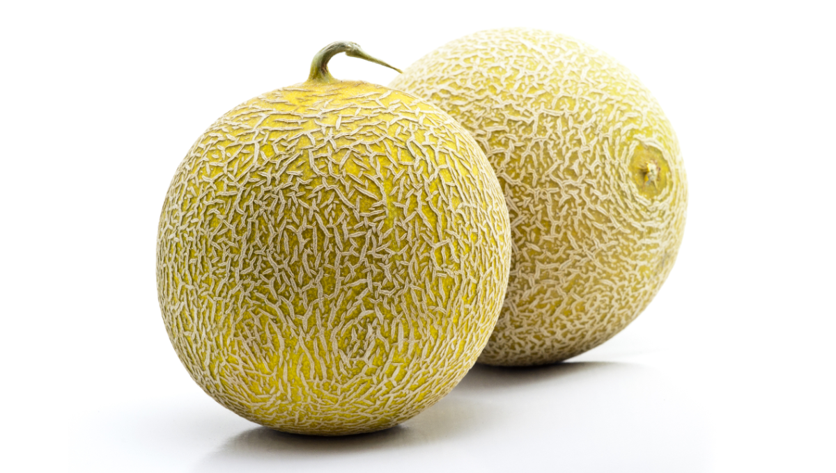 Cantaloupe