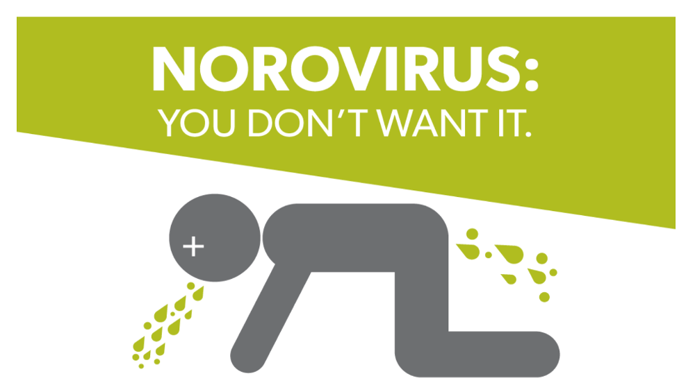 illustration-graphic-norovirus