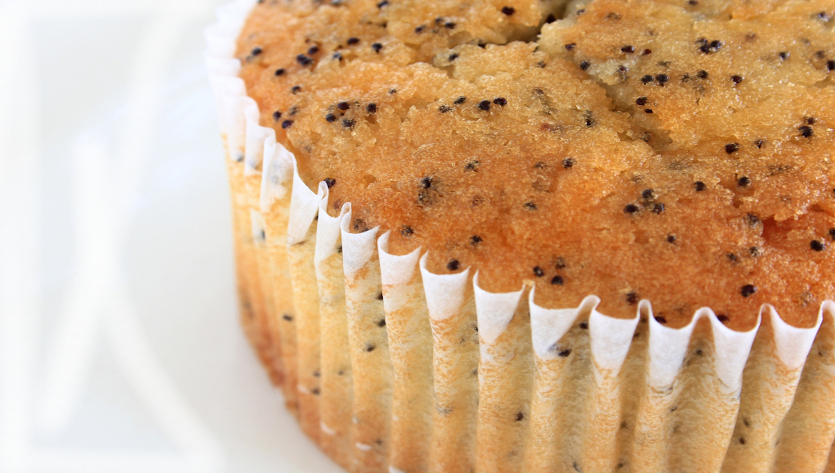 poppy-seed-muffin