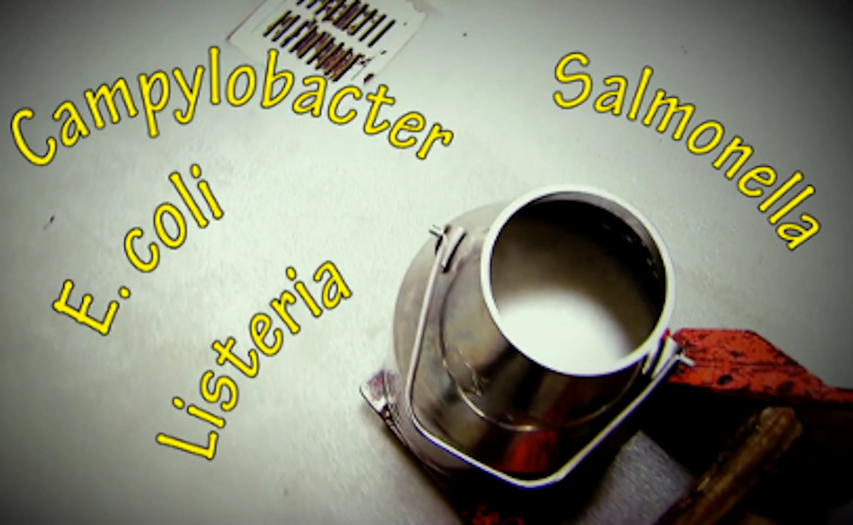 raw-milk-bucket-pathogens